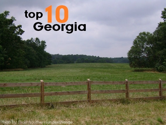 Top 10 Things for Families To Do in Georgia - Trekaroo